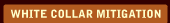 White Collar Mitigation