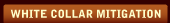 White Collar Mitigation